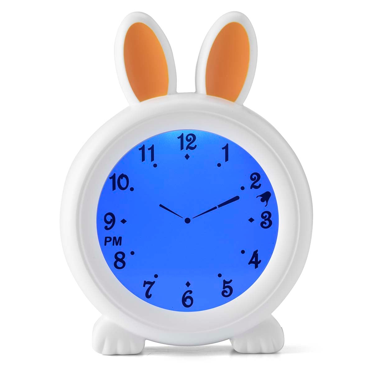 1443856|BC100BUNNY