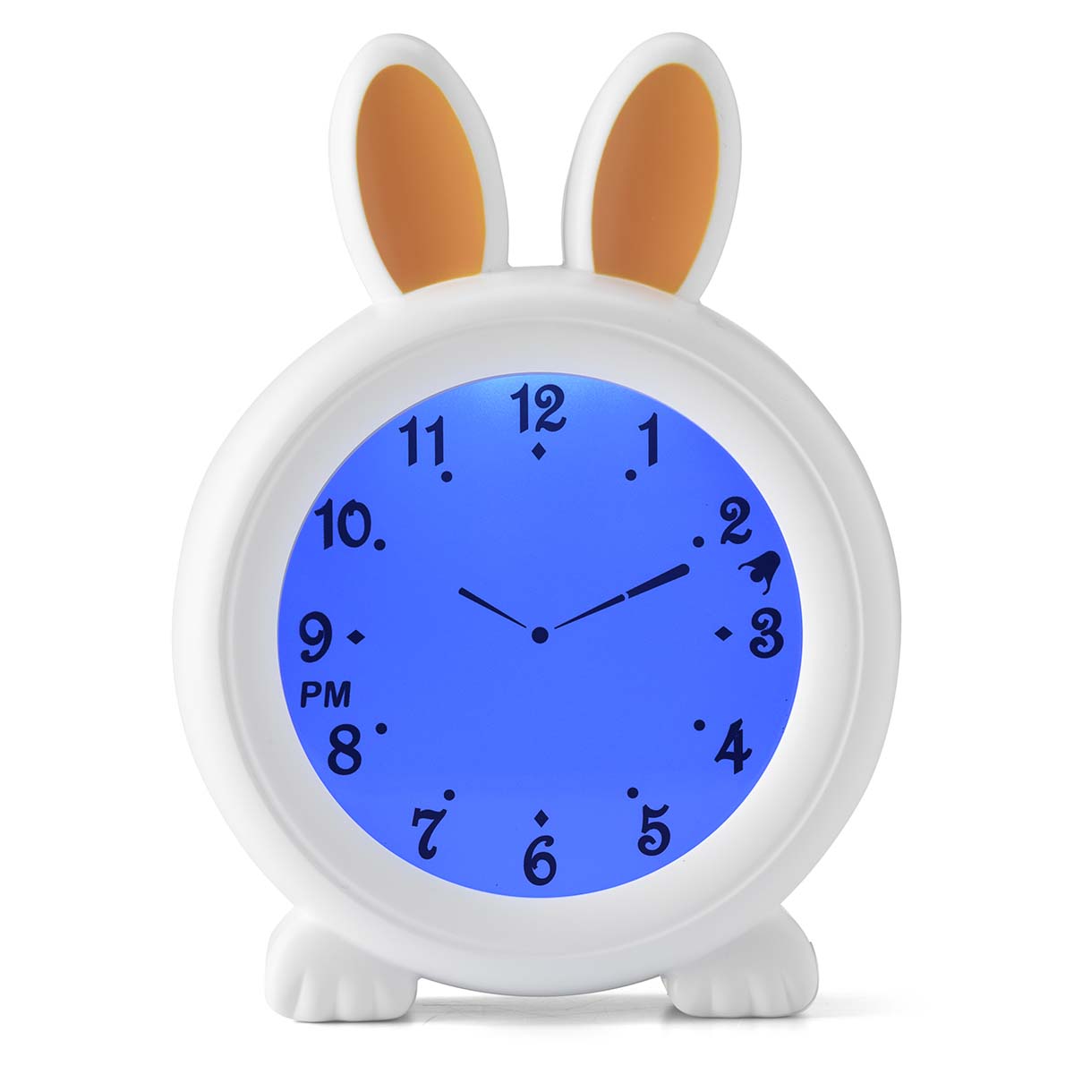 1443856|BC100BUNNY
