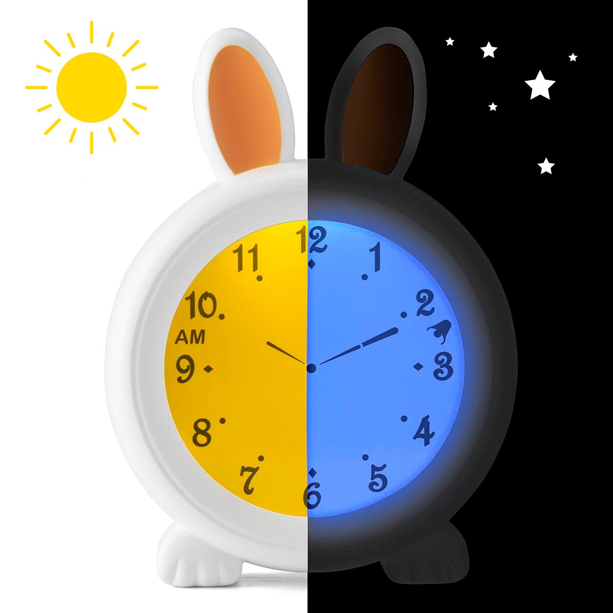 1443860|BC100BUNNY