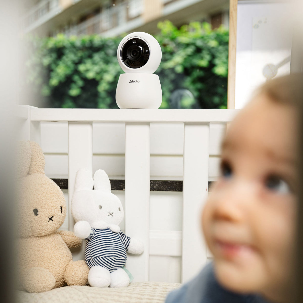 1465844|DVM2043
