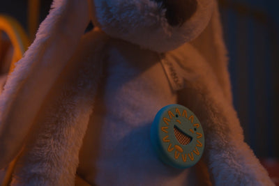 1465205|HEEHEETOYRABB