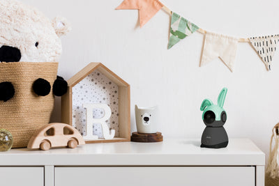 1462010|SMARTBABY10BK