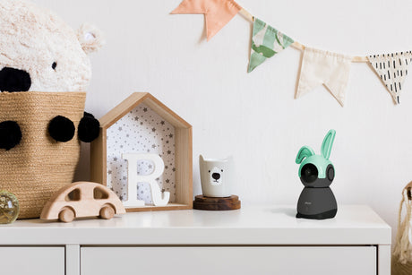 1462010|SMARTBABY10BK