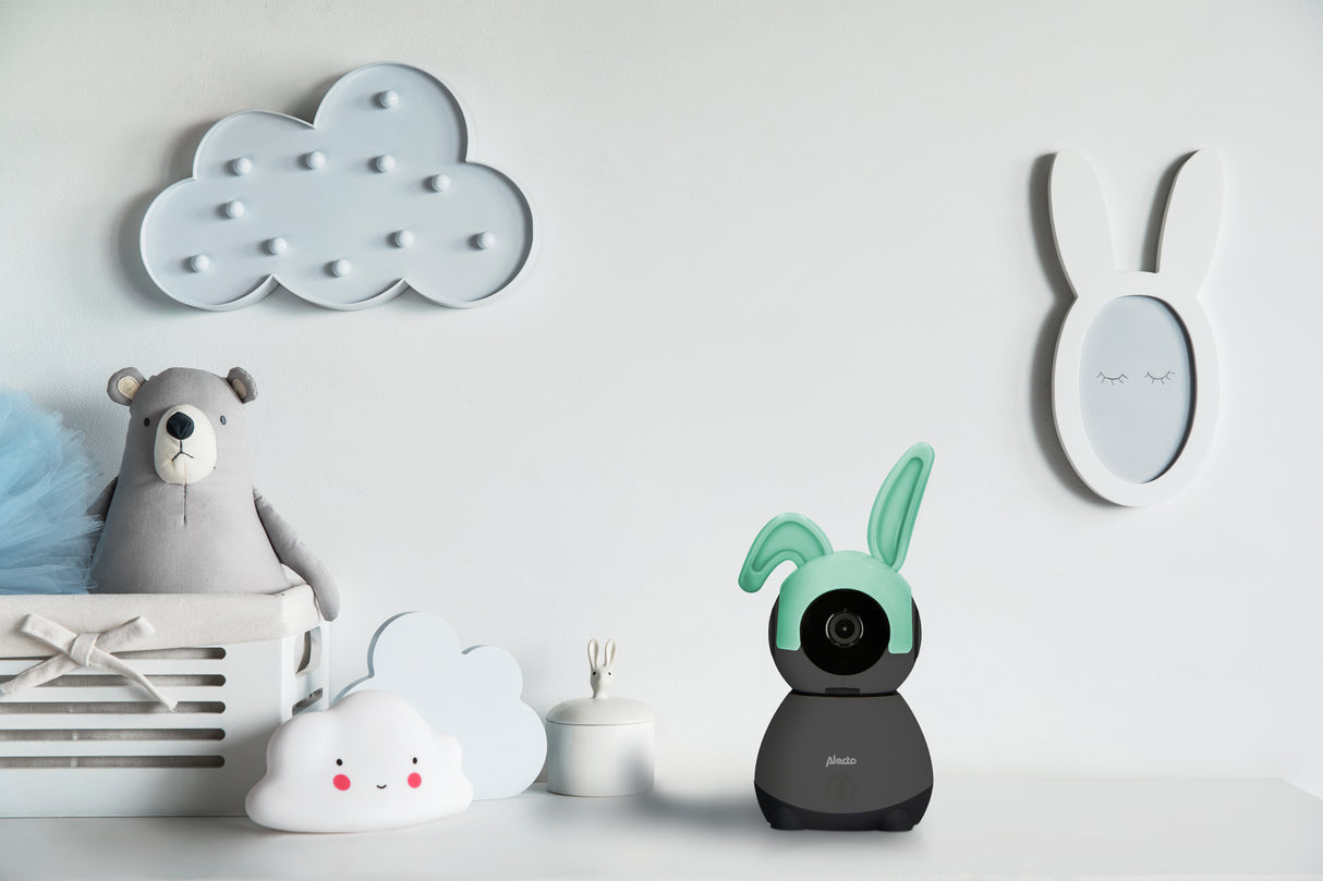 1462011|SMARTBABY10BK