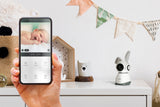1461360|SMARTBABY10