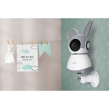 1447161|SMARTBABY10