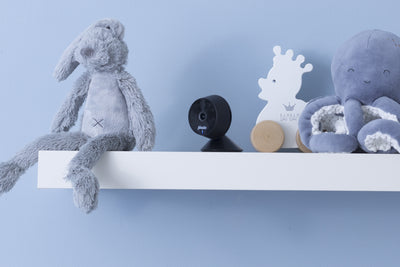 1462501|SMARTBABY5BK