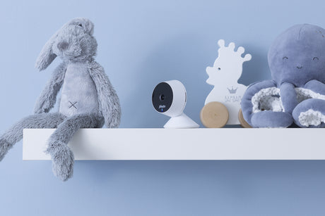 1462473|SMARTBABY5