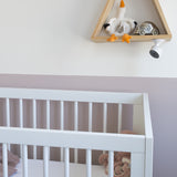 1462475|SMARTBABY5