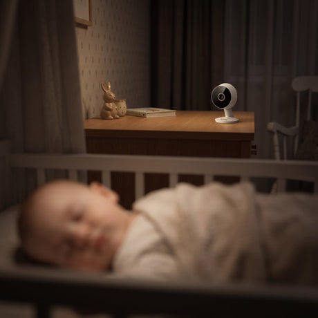 1492264|SMARTBABY8