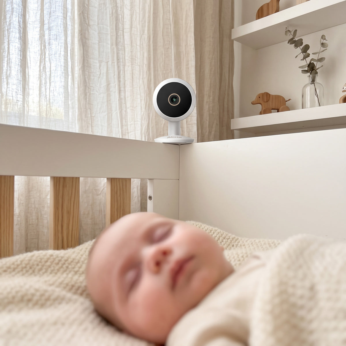 1492265|SMARTBABY8