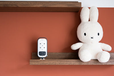 Alecto DVM-75 - Video baby monitor with 2.4" colour display, white/anthracite