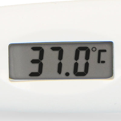 Alecto BC-19GS - Digitale thermometer, grijs