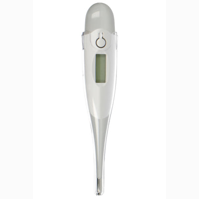 Alecto BC-19GS - Digitale thermometer, grijs