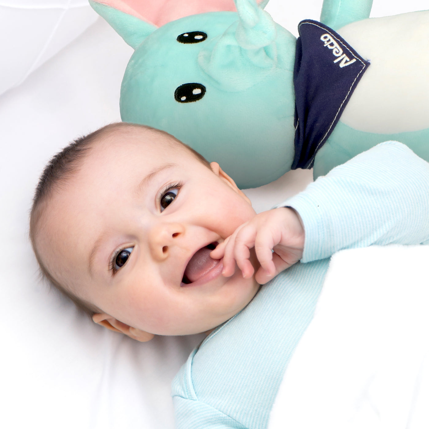 Alecto BC350 - Cuddly elephant with soothing sounds and night light